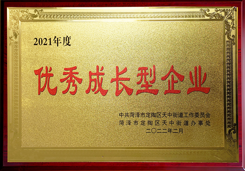 優(yōu)秀成長(zhǎng)型企業(yè)